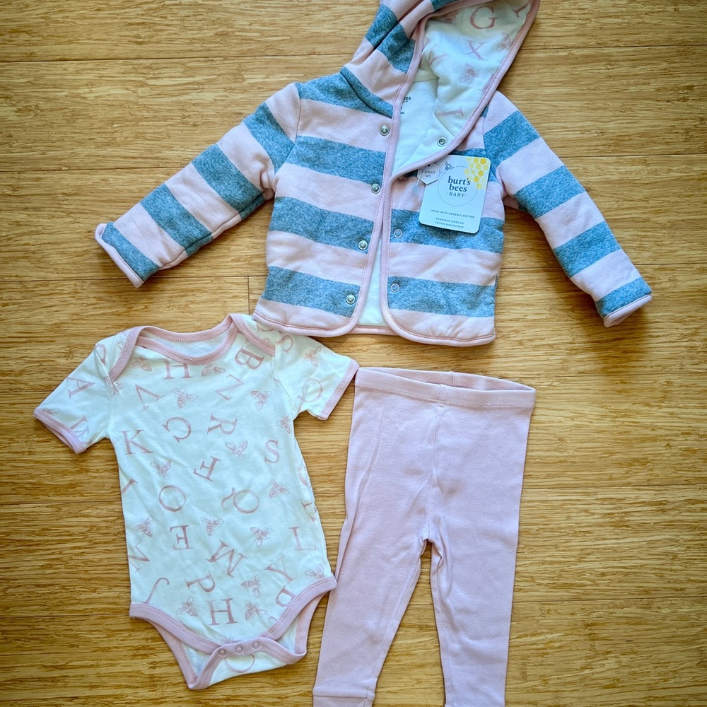 NWT Organic Cotton Burts Bees Pink and Gray Striped Bodysuit Set